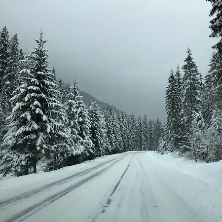 ホテル Family Kaskad